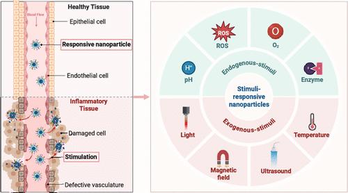 Stimuli-Responsive Nanomedicines for the Treatment of Non-cancer Related Inflammatory Diseases