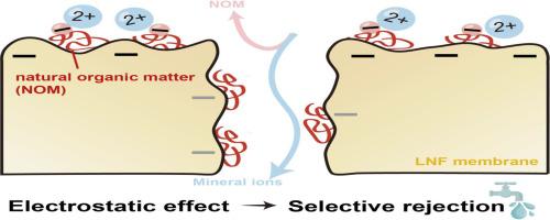 Adsorption of natural organic matter and divalent cations onto / inside loose nanofiltration membranes: Implications for drinking water treatment from rejection selectivity perspective