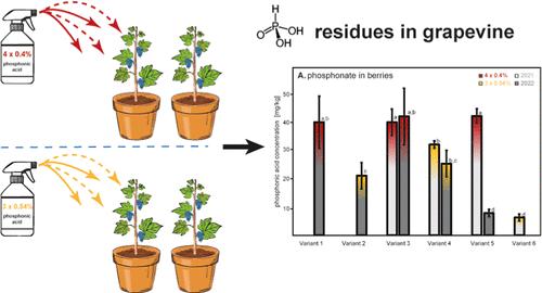 Impact of Spray Concentration and Application Frequency to Modulate Phosphonic Acid Residues in Container-Grown Grapevines