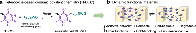 Heterocycle-based dynamic covalent chemistry for dynamic functional materials