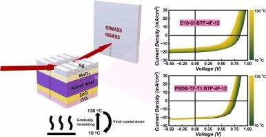 Temperature-dependent thermal behavior of BTP-4F-12-based organic solar cells