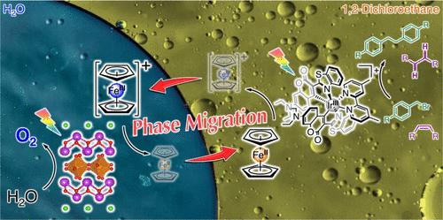 Phase-Migrating Z-Scheme Charge Transportation Enables Photoredox Catalysis Harnessing Water as an Electron Source