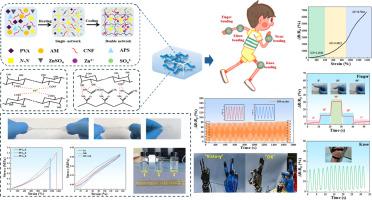 A triple-network PVA/cellulose nanofiber composite hydrogel with excellent strength, transparency, conductivity, and antibacterial properties