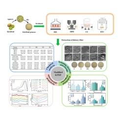 Physical modifications of dietary fibers from kiwifruit pomace: Physicochemical, structural and functional properties