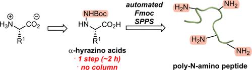 Optimized Monomer-Based Synthesis of Poly-N-amino Peptides