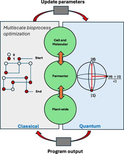 Exploring Hybrid Quantum-Classical Algorithms for Multiscale Bioprocess Optimization