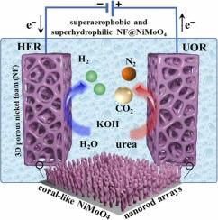 Nickel molybdate nanorod array as a dual-function electrocatalyst for urea oxidation and hydrogen evolution in urea-assisted water splitting