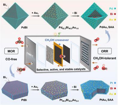 Golden Single-Atom Alloys Selectively Boosting Oxygen Reduction and Methanol Oxidation