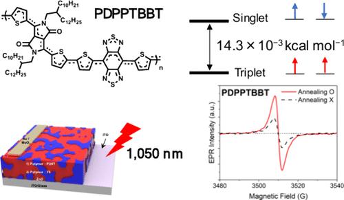 Stable Open-Shell Conjugated Terpolymer with Extended NIR Absorption for Organic Photodetectors Detecting Beyond 1000 nm