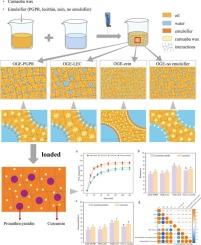 Design of oleogel-based co-delivery systems for proanthocyanidins and curcumin: Focusing on the modulation of interfacial and oleogel structures by emulsifiers