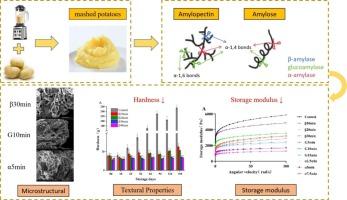Influencing the retrogradation properties of potato mash through multi-scale structural modifications mediated by enzymatic hydrolysis forms