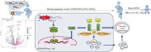 In vitro and in vivo evidence on the association of pregnant PM2.5 exposure with preterm birth and potential role of placental miRNA-21 regulating TLR4/NF-κB and activating NLRP3 inflammasome