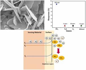 Influence of substrate temperature on In2S3 thin films synthesized via two-step sulfurization for ultra-sensitive and selective NO2 detection