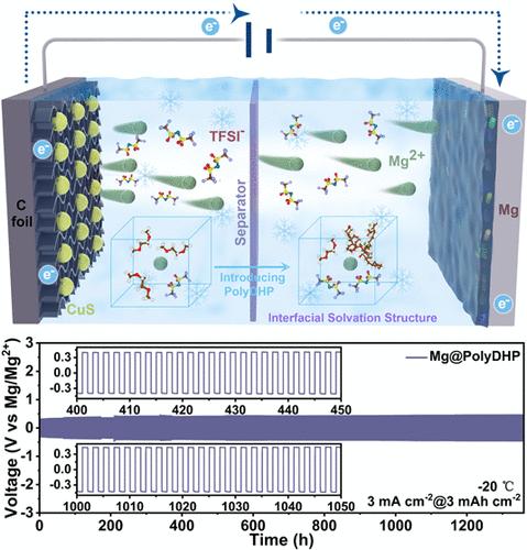 Regulating the Interfacial Solvation Environment by a Pyran-Based Polymer for High-Areal-Capacity and Low-Temperature-Endurable Magnesium Metal Batteries