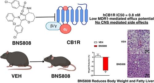 Synthesis and Pharmacological Characterization of Novel Peripheral Cannabinoid-1 Receptor Blockers Based on a Tricyclic Scaffold