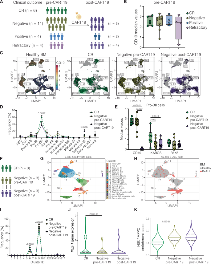 IKAROS levels are associated with antigen escape in CD19- and CD22-targeted therapies for B-cell malignancies