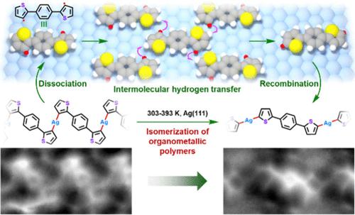 Isomerization of Organometallic Polymers on Ag(111): Revealing the Intermolecular Hydrogen Transfer Mechanism