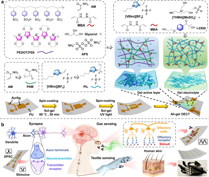Stretchable all-gel organic electrochemical transistors