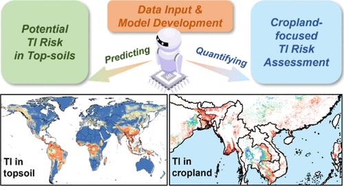 Global Potential Risk of Thallium in Topsoil: A Cropland-Focused Quantification Framework