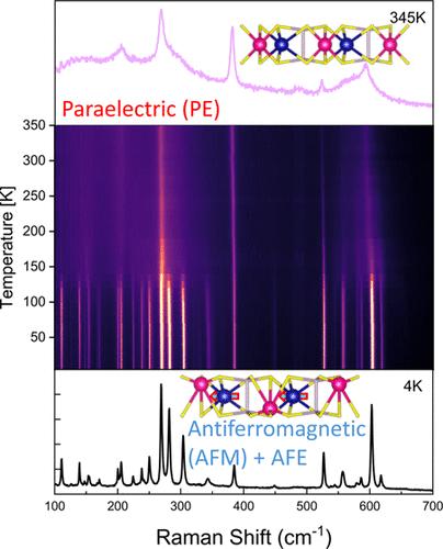Raman Fingerprints of Phase Transitions and Ferroic Couplings in van der Waals Multiferroic CuCrP2S6