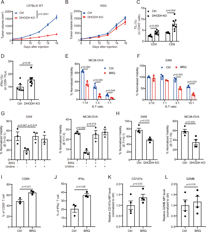 DHODH modulates immune evasion of cancer cells via CDP-Choline dependent regulation of phospholipid metabolism and ferroptosis