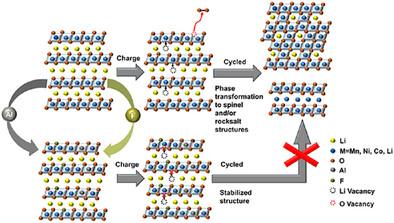 Cation/Anion Co-Doping Enhances Oxygen Redox Reversibility and Structural Stability in Single-Crystal Li-Rich Mn-Based Cathodes for Wide-Temperature Performance