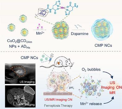 Supramolecular Nanoplatforms with Activable Ultrasound and Magnetic Resonance Imaging for Cancer Diagnosis and Therapy