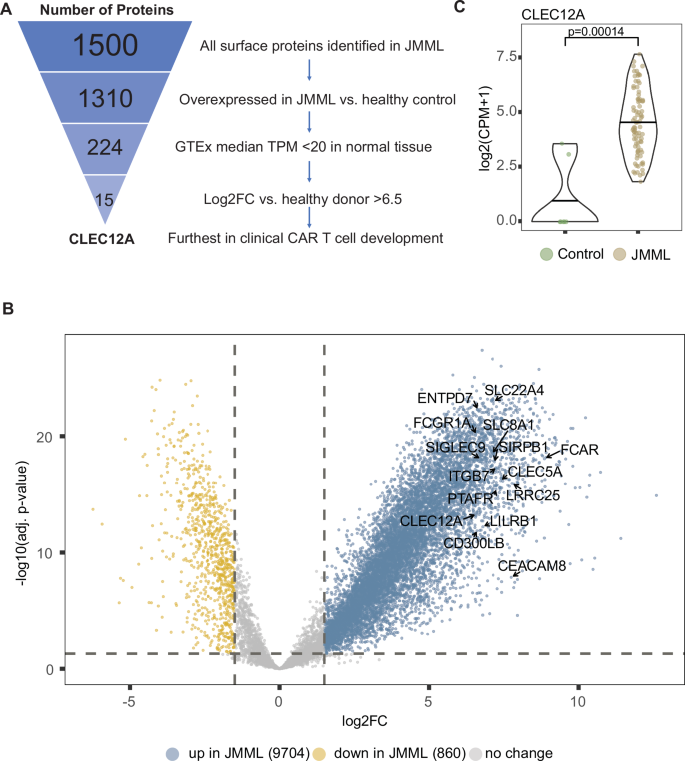 Cellular immunotherapy targeting CLL-1 for juvenile myelomonocytic leukemia