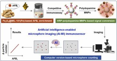 Artificial intelligence-enabled microsphere imaging immunosensor based on magnetic metal-organic frameworks-assisted sample pretreatment for detecting aflatoxin B1 in peanuts