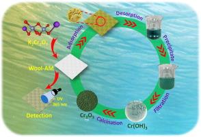 Detection and removal of Cr(VI) ions in aqueous solutions via acrylamide-functionalized wool fibers