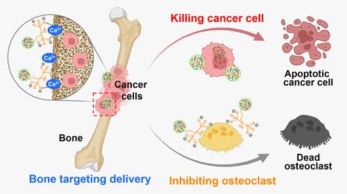 Bone-Targeting Nucleic Acid Delivery Polymer Vector for Effective Therapy of Bone Metastasis