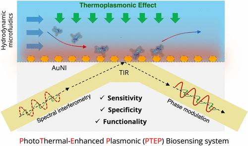 Thermoplasmonic Regulation and In Situ Detection of Biomolecules with a Photothermal-Enhanced Plasmonic Biosensing System