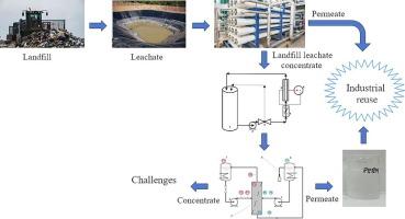 Advanced electrochemical oxidation and membrane distillation for the treatment of landfill leachate concentrated by reverse osmosis
