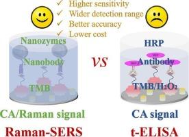 Nanozyme mediated Raman-NLISA dual-modal immunosensor for accurate and sensitive detection of microcystin-LR