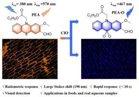 A phenothiazine-based ratiometric fluorescent probe for detecting hypochlorite (ClO−) and its application in foods and water samples