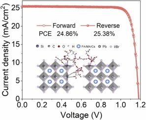 Multidentate chelation defect passivation via hyperbranched polysiloxane for efficient and stable inverted perovskite solar cells