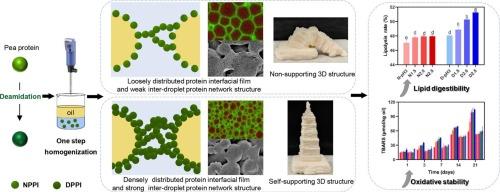 Ultrastable high internal phase Pickering emulsions stabilized by deamidated pea protein: Formation mechanisms and applications in 3D printing