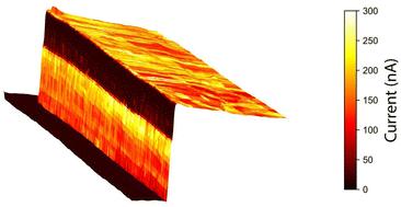 Electrical properties of collapsed MoS2 nanotubes†