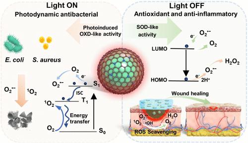 Photoswitchable Antioxidant and Prooxidant Activities of Mg-Doped Carbon Dot Nanozymes as Antibacterial and Anti-Inflammatory Agents