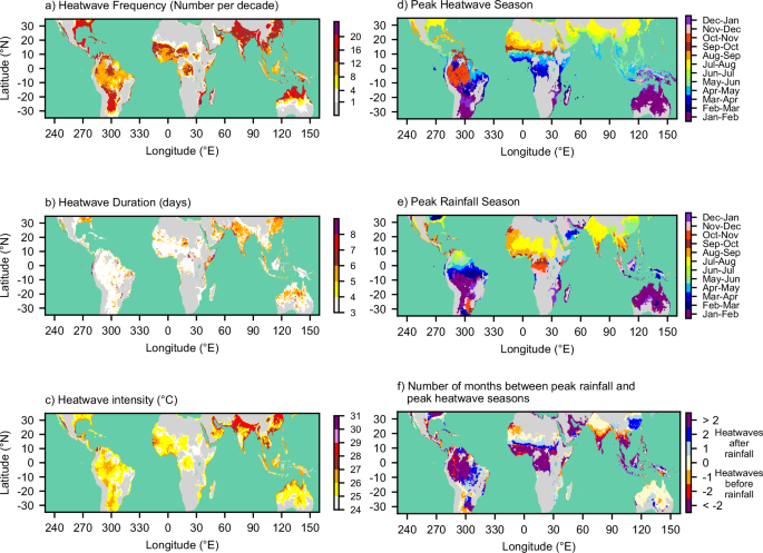 Daily rainfall variability controls humid heatwaves in the global tropics and subtropics