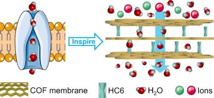 Engineering artificial water channels into ionic covalent organic framework membranes towards efficient desalination