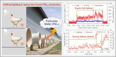 A new factor of dynamic lighting schedule on dust production in commercial laying hen house
