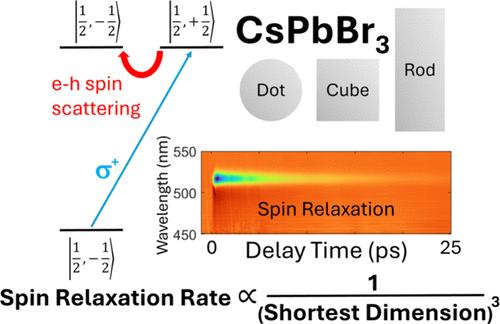 Dependence of Exciton Spin Dynamics on Quantum Confinement Dimensionality in CsPbBr3 Nanocrystals
