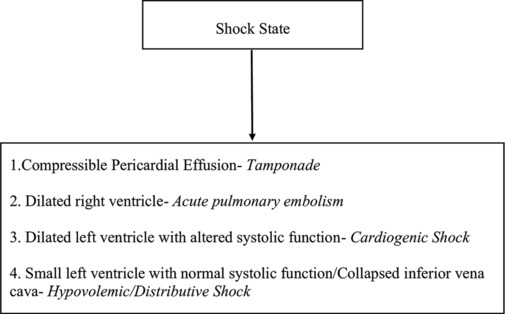 Validation of the echoSHOCK protocol for diagnosing the cause of shock in patients arriving at the emergency department.