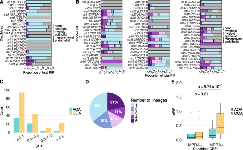 Integration of functional genomics and statistical fine-mapping systematically characterizes adult-onset and childhood-onset asthma genetic associations.