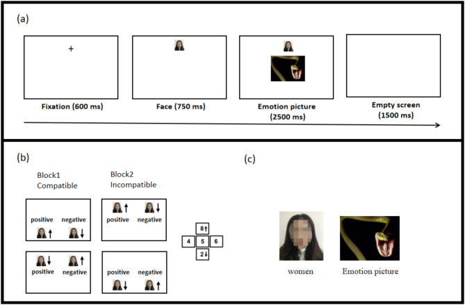 Effects of menstrual cycle phases on approach-avoidance behaviors in women: a behavioral and event-related potentials study.
