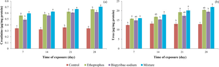 Single and joint toxicity of ethoprophos and bispyribac-sodium to Oreochromis niloticus: biochemical and genotoxic responses.