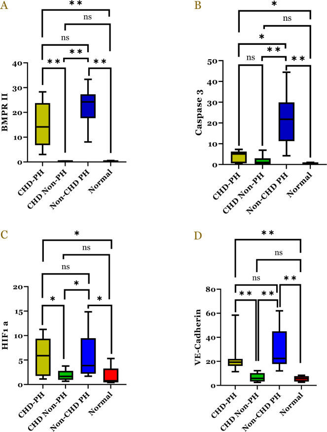 BMPR-II, caspase-3, HIF-1α, and VE-cadherin profile in Down syndrome children with and without congenital heart disease and pulmonary hypertension.