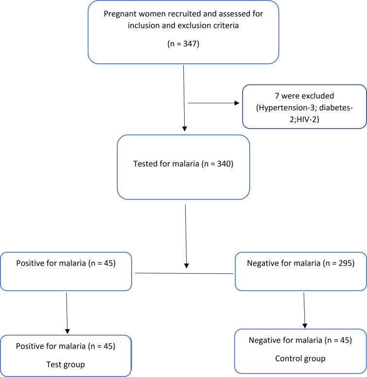 Markers of neutrophil activation and some immune and haematological indices in malaria infection during pregnancy.