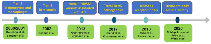 Microglia, Trem2, and Neurodegeneration.